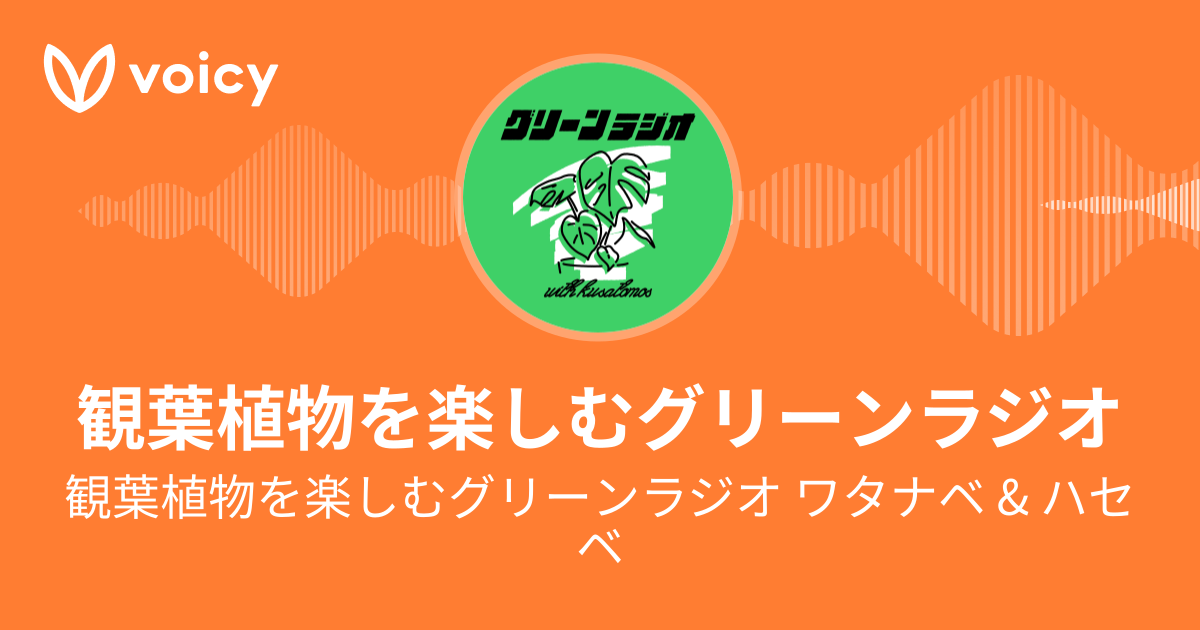 観葉植物を楽しむグリーンラジオ ワタナベ And ハセベ「観葉植物を楽しむグリーンラジオ」 Voicy 音声プラットフォーム