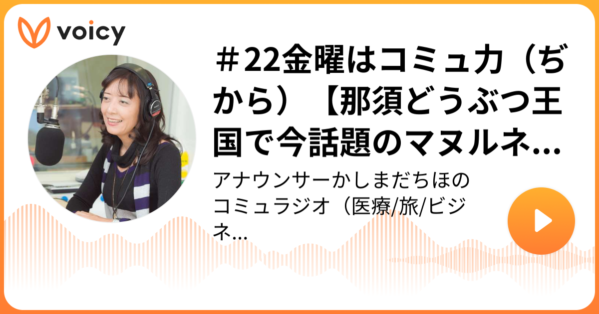 22金曜はコミュ力 ぢから 那須どうぶつ王国で今話題のマヌルネコの歌についてスペクタクル鈴木さんにインタビュー アナウンサー鹿島田千帆 鹿島田千帆のコミュラジオ Voicy 音声プラットフォーム