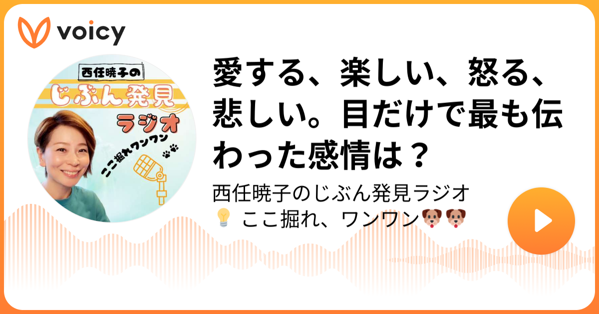 愛する 楽しい 怒る 悲しい 目だけで最も伝わった感情は ニシトアキコのbest Self Best Life