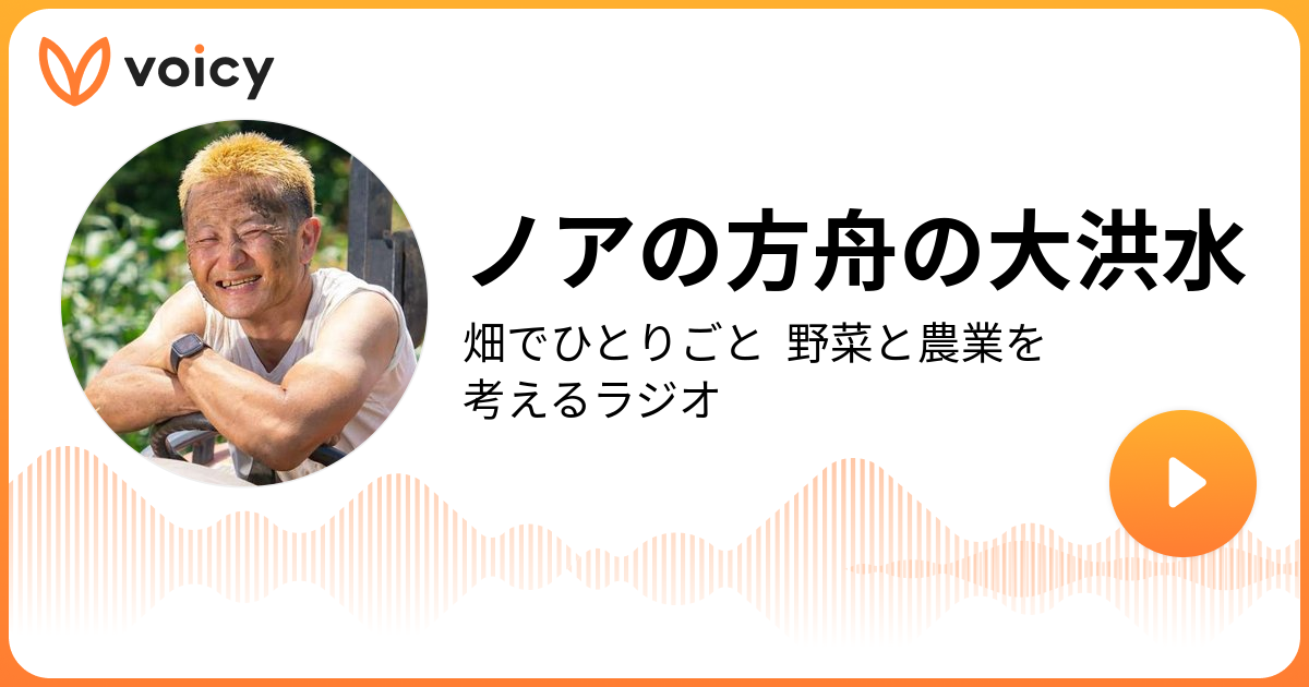 ノアの方舟の大洪水 | 久松達央「畑でひとりごと 野菜と農業を考える